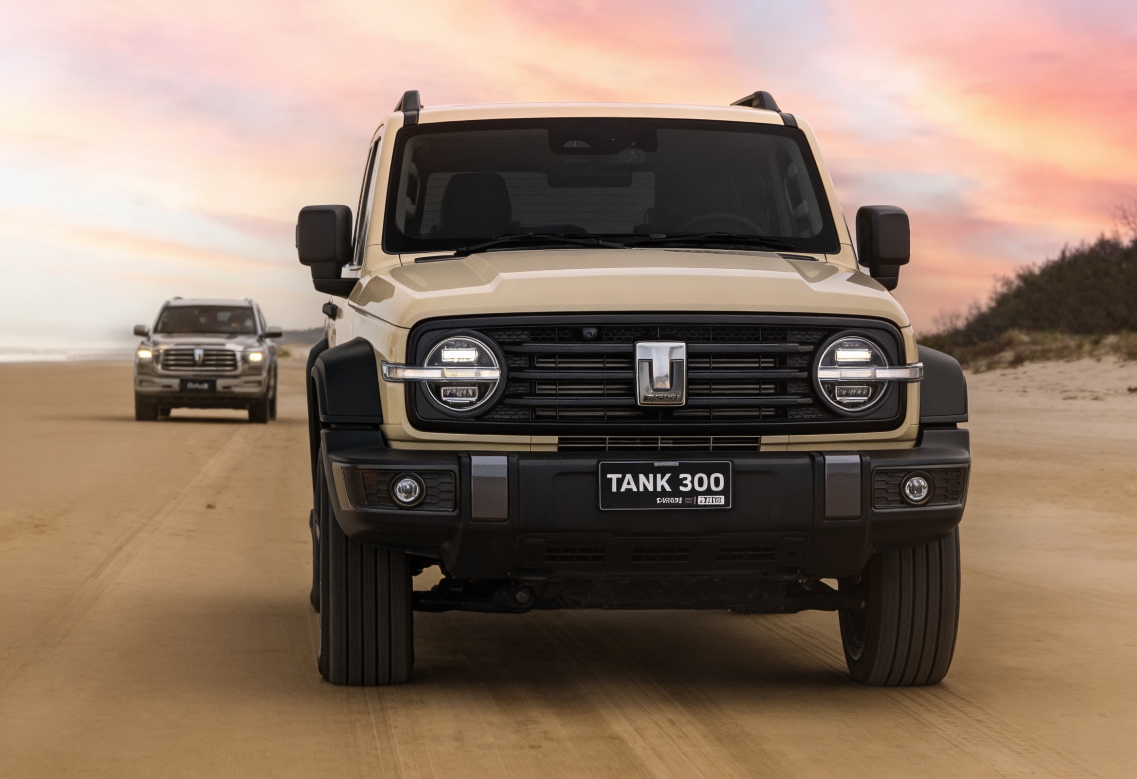 Tank 300